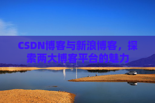 CSDN博客与新浪博客，探索两大博客平台的魅力
